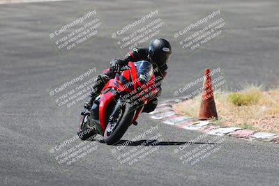 media/Jul-08-2023-2WTD (Sat) [[c8c0d2e149]]/C Group/1040am (Turn 3)/